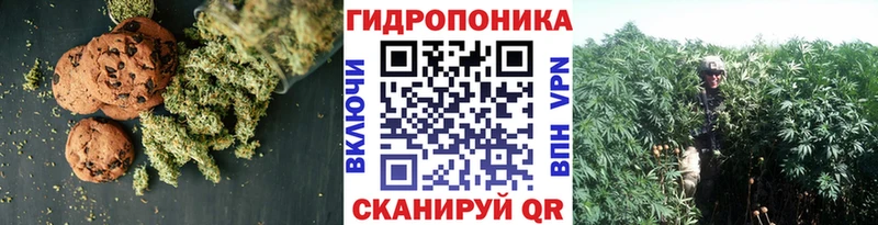 Canna-Cookies конопля Кущёвская