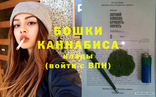 дживик Богородицк