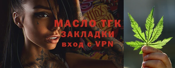 apvp Богданович