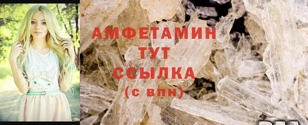 дживик Богородицк