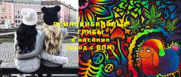 apvp Богданович