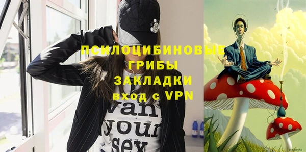 дживик Богородицк