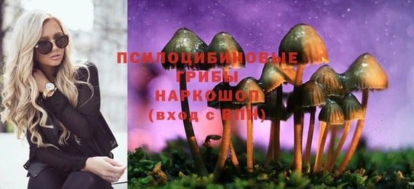 дживик Богородицк
