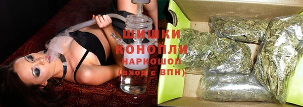дживик Богородицк