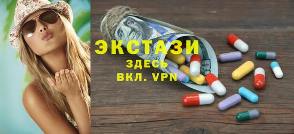 дживик Богородицк