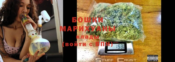 дживик Богородицк