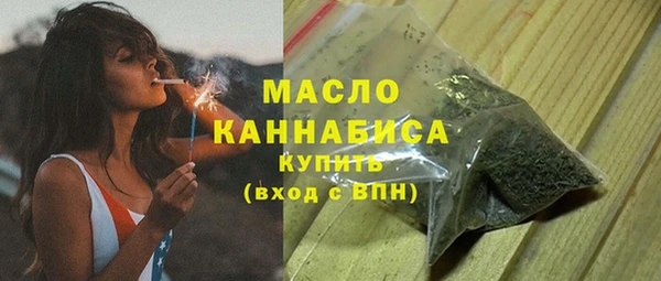 дживик Богородицк