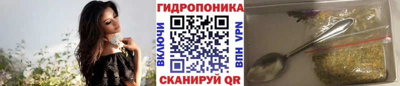 Бошки Шишки план  как найти наркотики  Кущёвская 